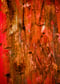 Image of UNEXPECTED Splatters (#23)