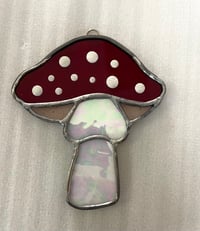 Image 1 of Mushrooms