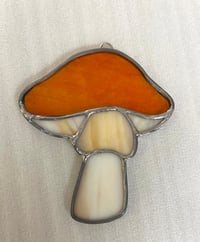 Image 3 of Mushrooms