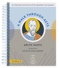 Image of A Walk Through Acts: An Overview of the Acts of the Apostles in 26 Lessons