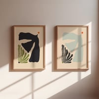 Image 3 of Txori Beltza/Urdina