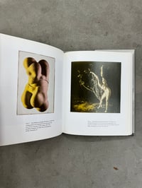 Image 10 of Behind Closed Doors: The Art of Hans Bellmer - Therese Lichenstein