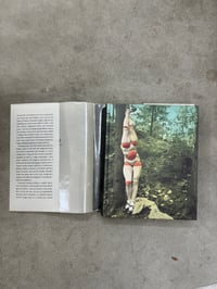 Image 2 of Behind Closed Doors: The Art of Hans Bellmer - Therese Lichenstein