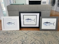Image 3 of Bluefin Tuna, 2022 (Print)