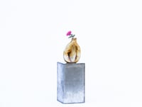 Image 7 of Maple Vase 