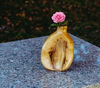 Image 4 of Maple Vase 