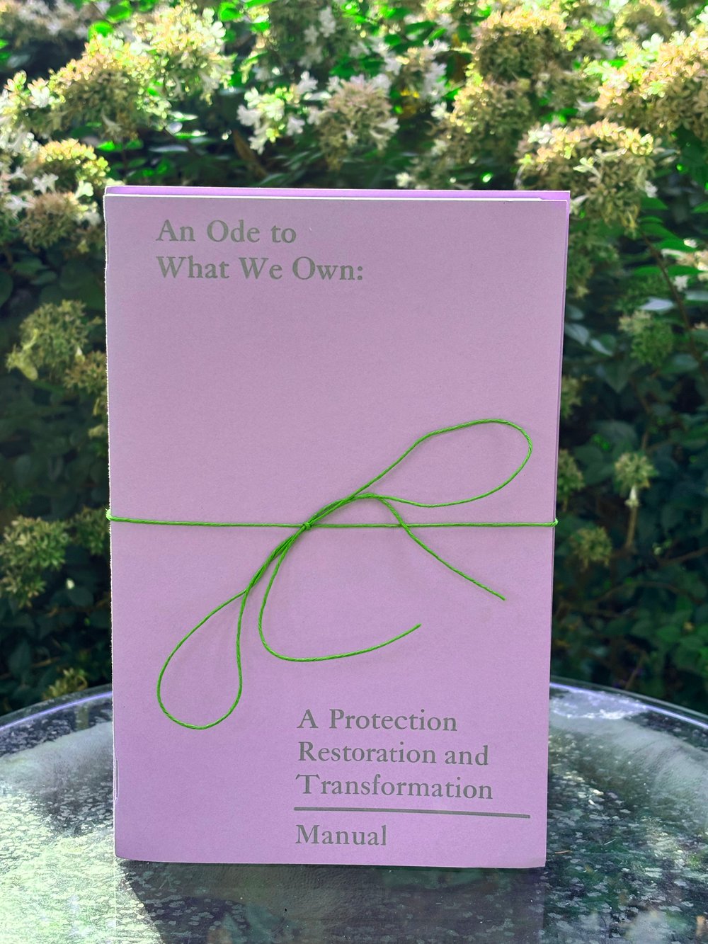 Image of An Ode to What We Own: Protection, Restoration, and Transformation Manual