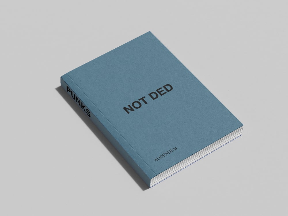 Image of PUNKS NOT DED (soft cover)