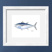Image 1 of Bluefin Tuna, 2022 (Print)