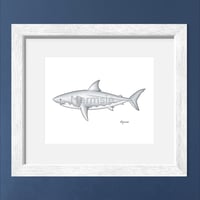 Image 1 of Great White Shark, 2024 (Print)
