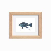 Image 1 of Black Seabass, 2022 (Print)