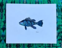 Image 3 of Black Seabass, 2022 (Print)