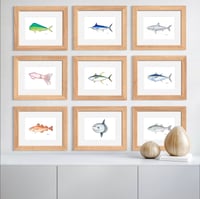 Image 2 of Mola Mola, 2022 (Print)