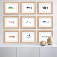 Image 3 of Squid, 2022 (Print)