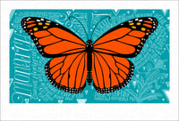 Image 1 of A Wild Promise: Monarch Butterfly