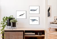 Image 3 of Humpback Whale, 2022 (Print)