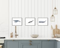 Image 5 of Sperm Whale (Print)