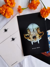 Image 3 of Halloween Postcard Set ~ Limited edition for Halloween season