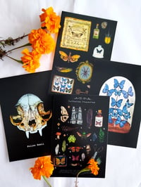 Image 1 of Halloween Postcard Set ~ Limited edition for Halloween season