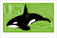 A Wild Promise: Orca