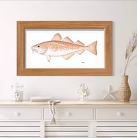 Image 1 of Biggie Atlantic Codfish (Print)