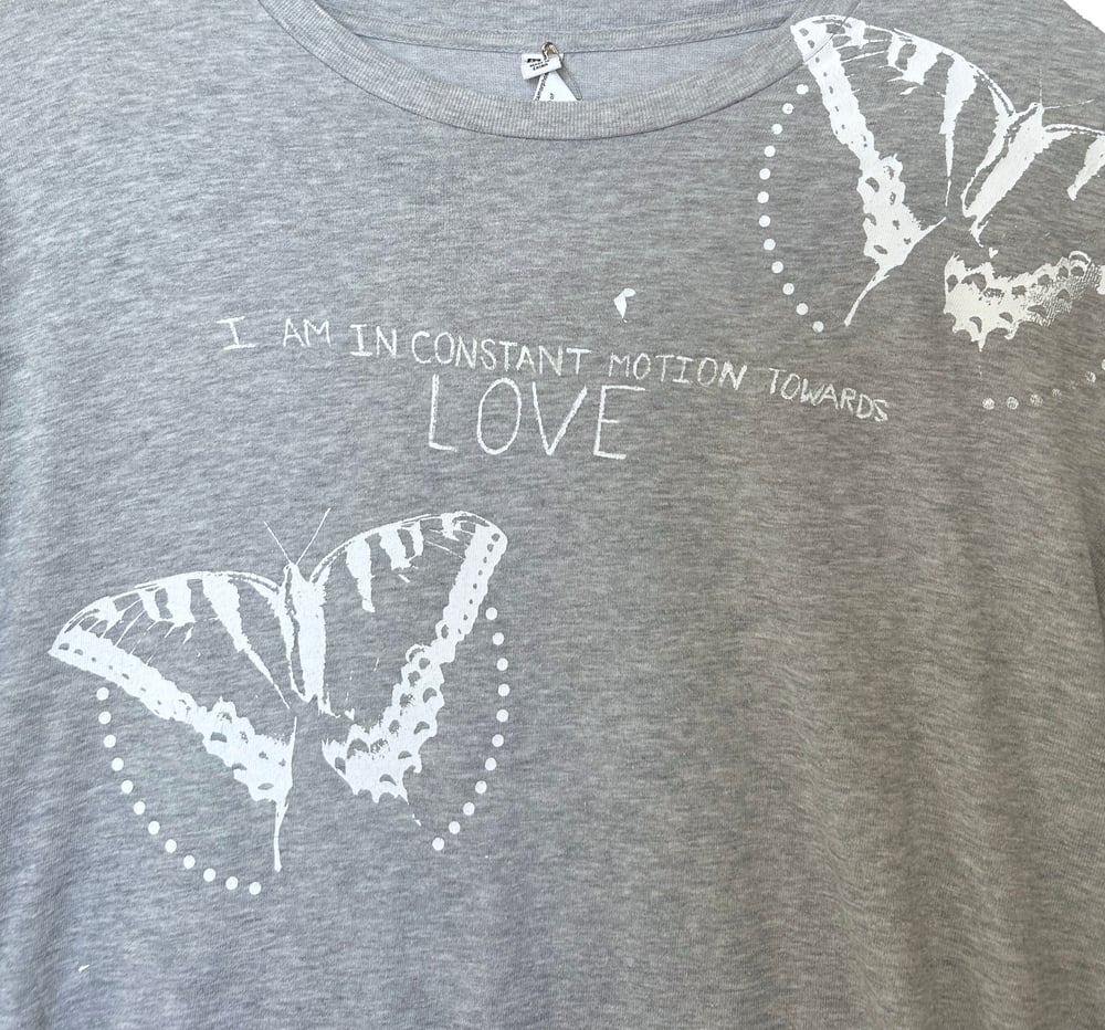 L Constant Motion Butterfly