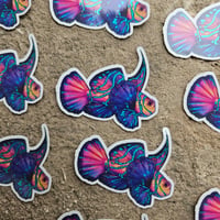Mandarin Fish