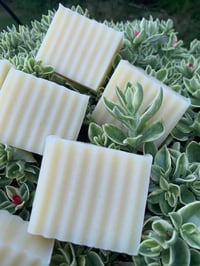 Image 5 of Pure Tallow Body Soap | All Natural Tallow Body Bars