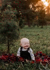 Image 5 of Tree Farm Session | Sunday, November 3rd