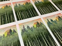 Image 1 of Cairngorm Trees