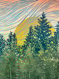 Image 4 of Cairngorm Trees