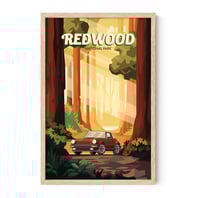 Image 1 of REDWOOD NATIONAL PARK ART PRINT