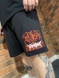 Image 1 of Logo Jogger Shorts