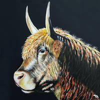 Clover The Highland Cow Print