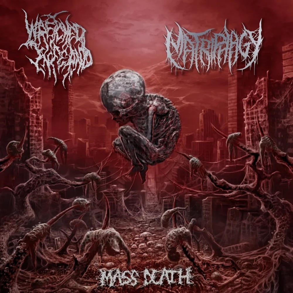 Image of WRETCHED INFERNO / MATRIPHAGY - Mass Death Split EP CD