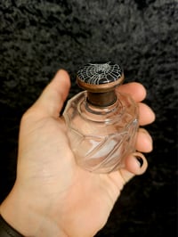 Image 2 of Vintage ornate decorative bottle with  Real Preserved Web B