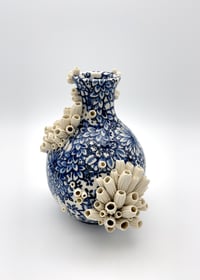 Image 2 of Laurel Lukaszewski | Ocean Garden Bottle 1