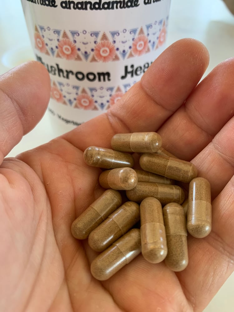 Image of Mushroom Heaven (Regular Size) 120 Capsules