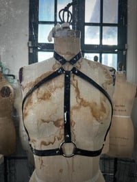 Image 1 of BAROQUE HARNESS 