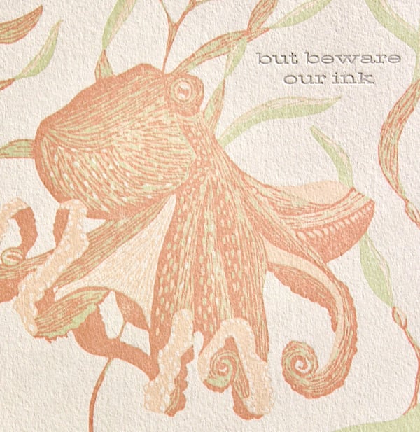 Image of Octopus Truth