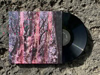 Image 1 of Bodies of Conceit - "S/T" (Very Deep Records)