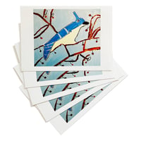 Gift Card Pack: Blue Jay