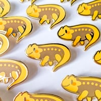 Image 2 of Emperor Newt - Mini Amphibian Enamel Pins