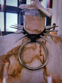 Image 1 of SLK SPIKE CHOKER