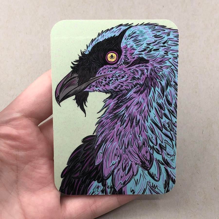 Image of Bearded Vulture Vinyl Sticker