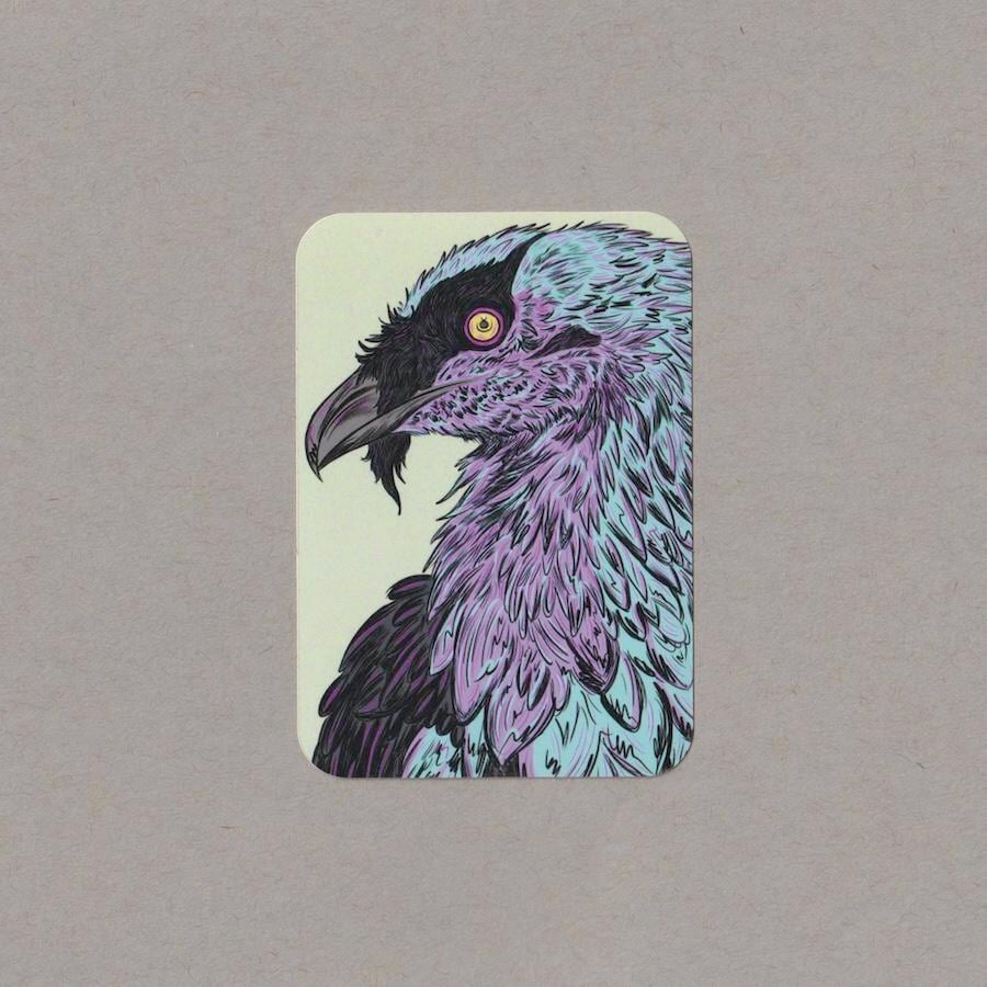 Image of Bearded Vulture Vinyl Sticker