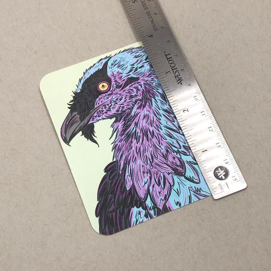 Image of Bearded Vulture Vinyl Sticker