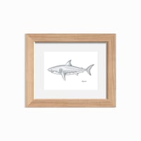 Image 2 of Great White Shark, 2024 (Print)