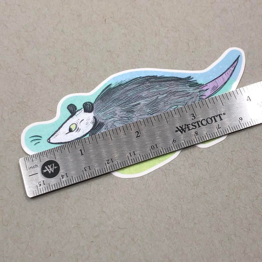 Image of Opossum Pal Sticker