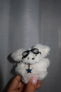 Image 1 of Fluffy Biker Dog